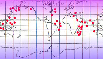 Карта распространения светящихся бактерий по акватории Мирового океана